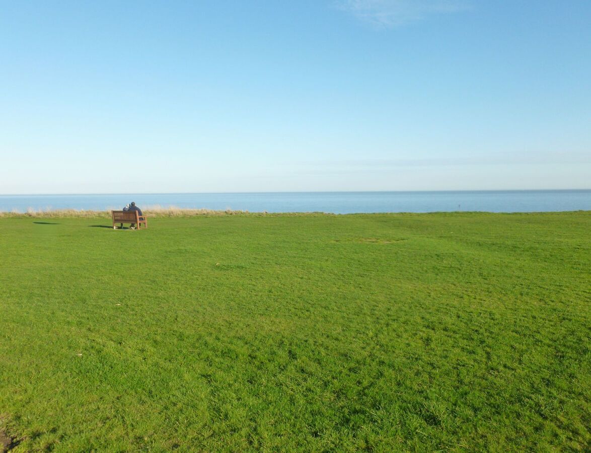 Waiting for our ship to come in - Roy Cane